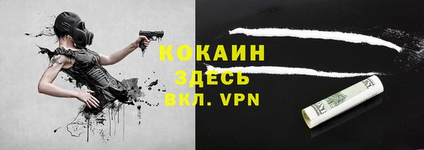 мяу мяу мука Краснослободск