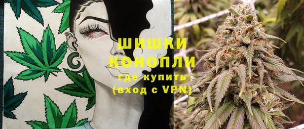 ГАЛЛЮЦИНОГЕННЫЕ ГРИБЫ Нязепетровск
