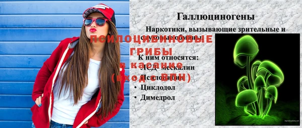 дурь Нягань