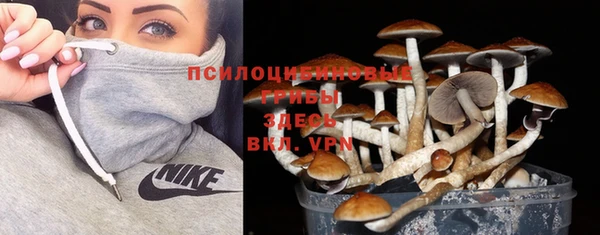 дурь Нягань