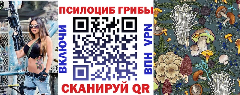 Псилоцибиновые грибы GOLDEN TEACHER  Правдинск 