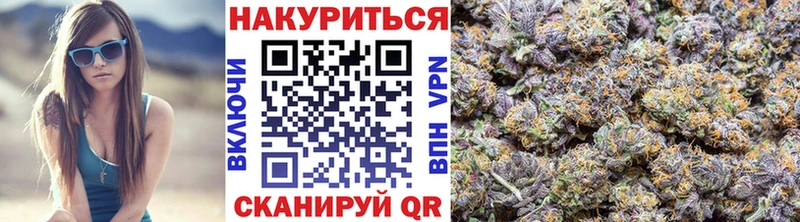 Бошки Шишки планчик  закладки  Правдинск 